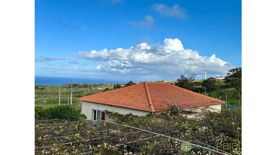 Moradia T4 para Venda em Cedros Foto 6