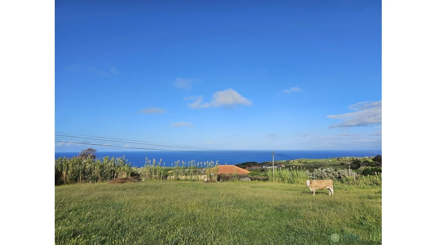 Moradia T4 para Venda em Cedros Foto 25