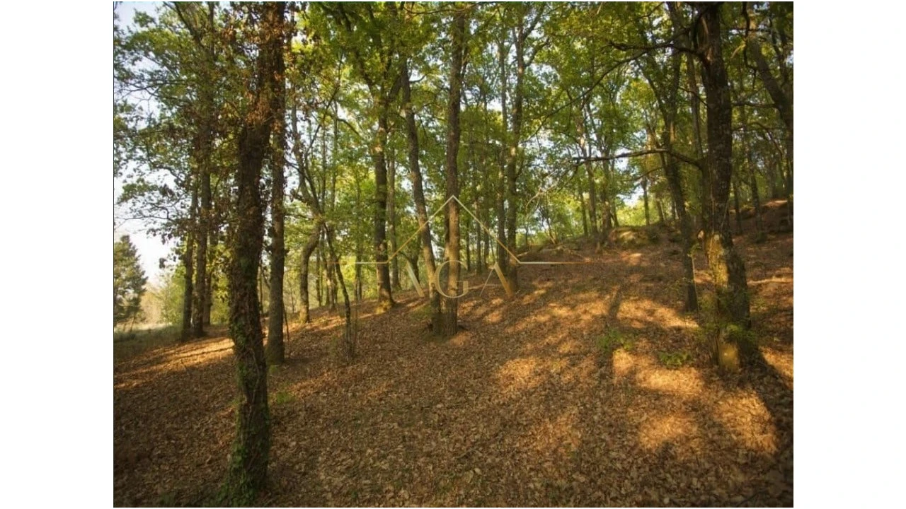 Moradia T6 para Venda em Gouveia (São Pedro e São Julião) Foto 5