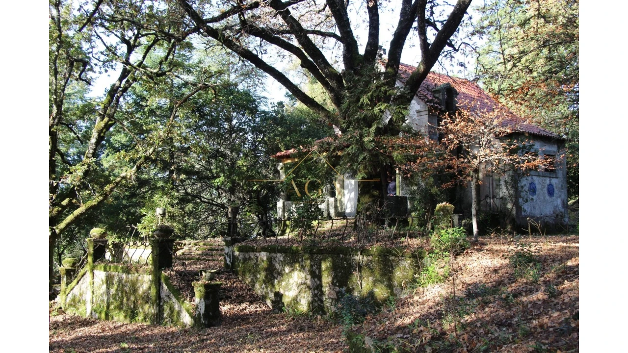 Moradia T6 para Venda em Gouveia (São Pedro e São Julião) Foto 57
