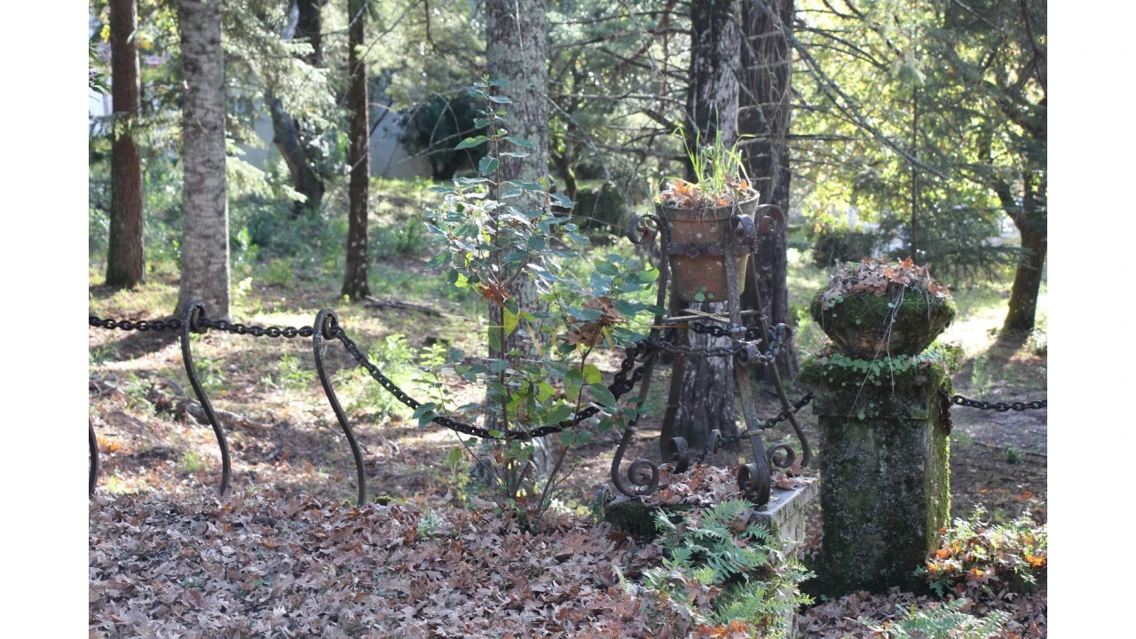 Moradia T6 para Venda em Gouveia (São Pedro e São Julião) Foto 68