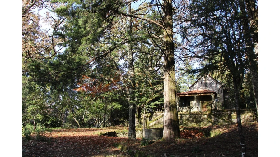 Moradia T6 para Venda em Gouveia (São Pedro e São Julião) Foto 63