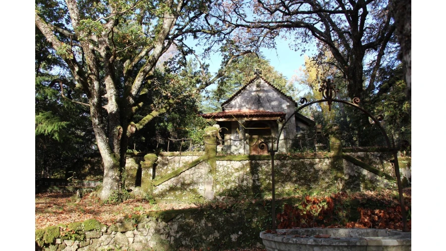 Moradia T6 para Venda em Gouveia (São Pedro e São Julião) Foto 59