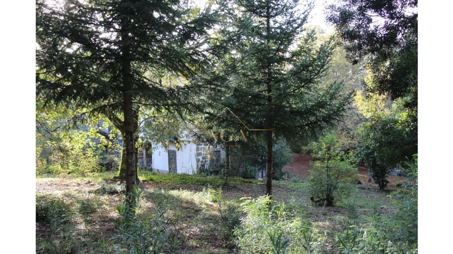 Moradia T6 para Venda em Gouveia (São Pedro e São Julião) Foto 60