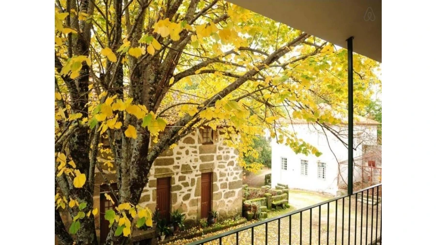 Moradia T6 para Venda em Gouveia (São Pedro e São Julião) Foto 6