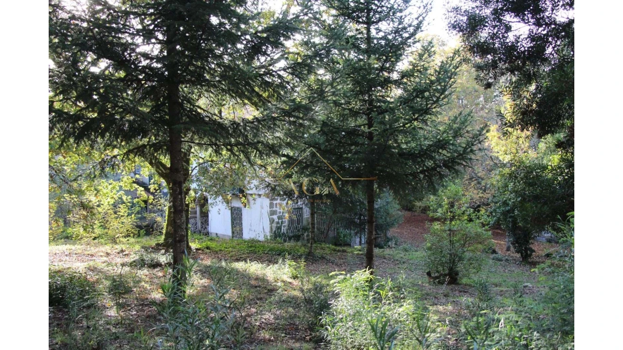 Moradia T6 para Venda em Gouveia (São Pedro e São Julião) Foto 60