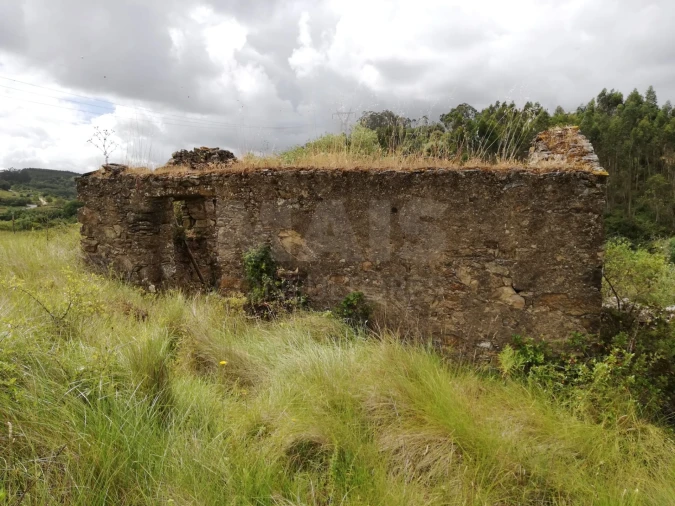 Terreno para Venda em Santo Quintino Foto 3