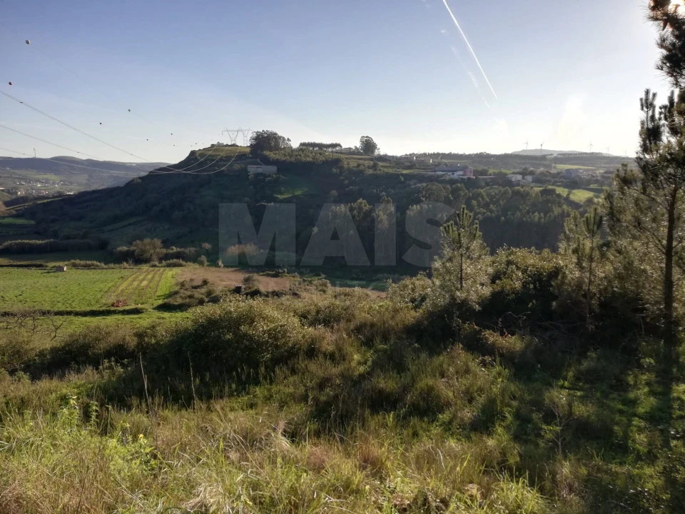 Terreno para Venda em Santo Quintino Foto 4