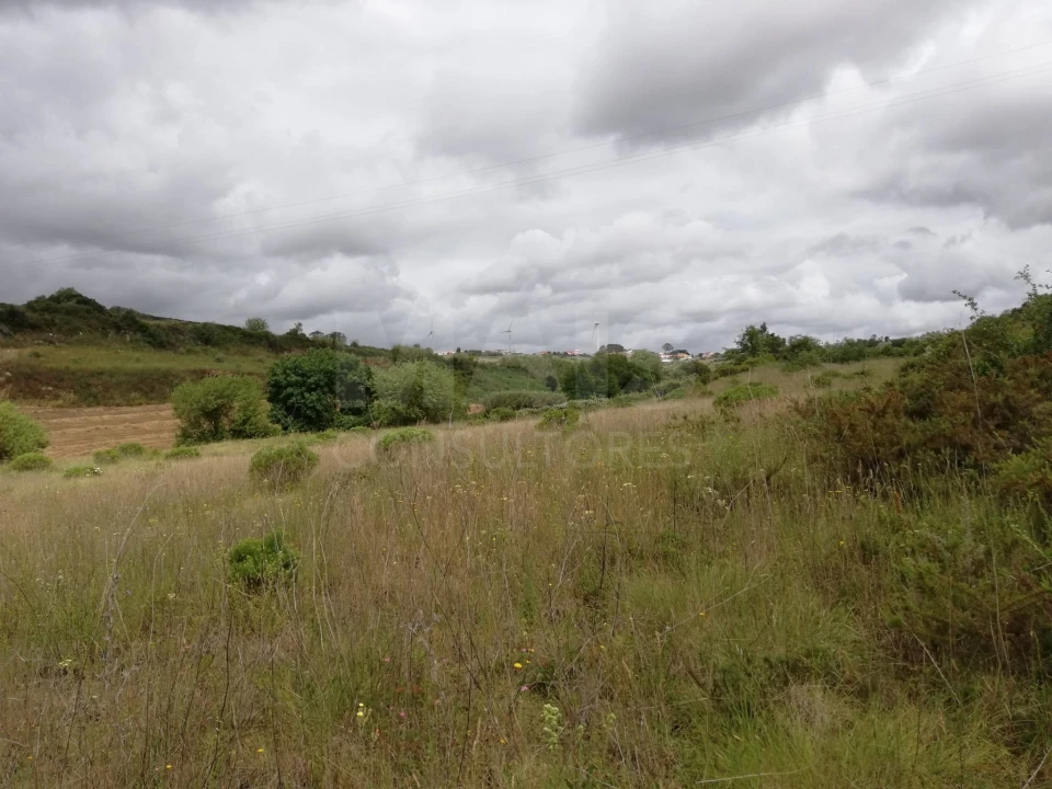 Terreno para Venda em Santo Quintino Foto 2