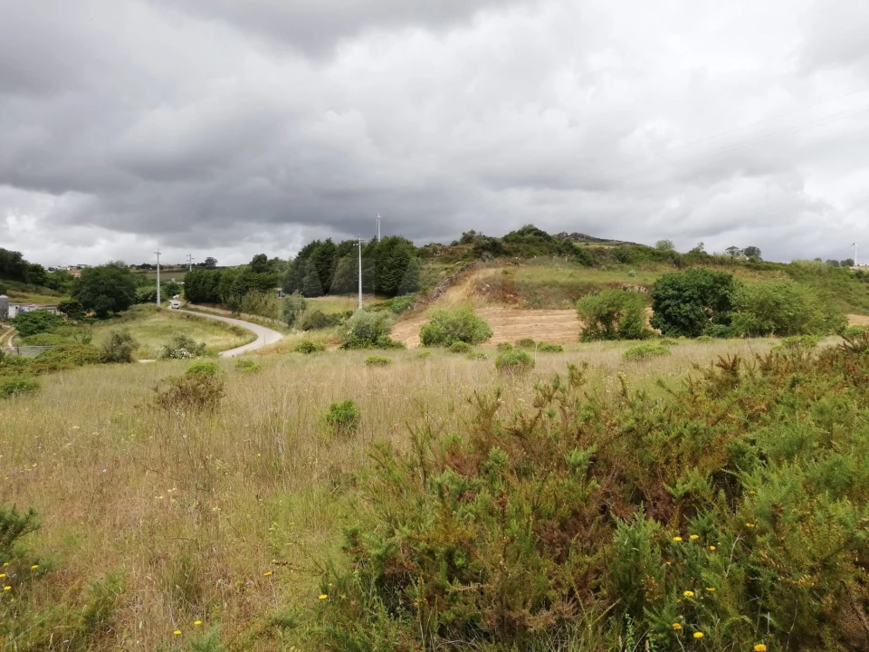 Terreno para Venda em Santo Quintino Foto 1