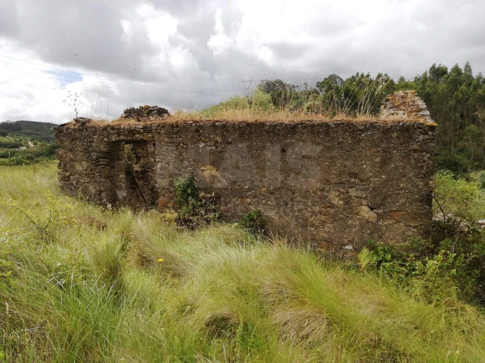 Terreno para Venda em Santo Quintino Foto 3