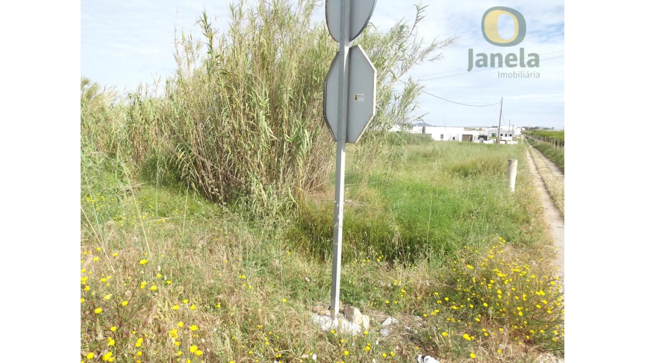 Terreno Agricola ou Rústico para Venda em Pechão Foto 2