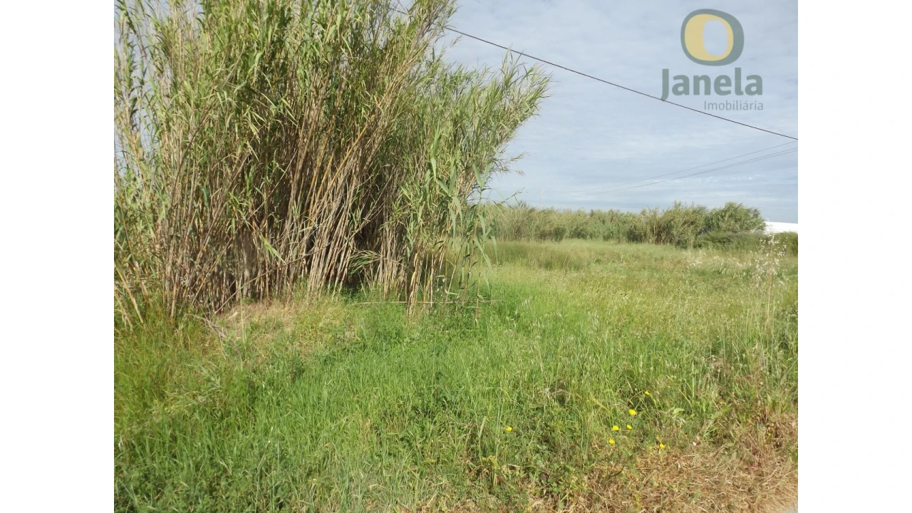 Terreno Agricola ou Rústico para Venda em Pechão Foto 3