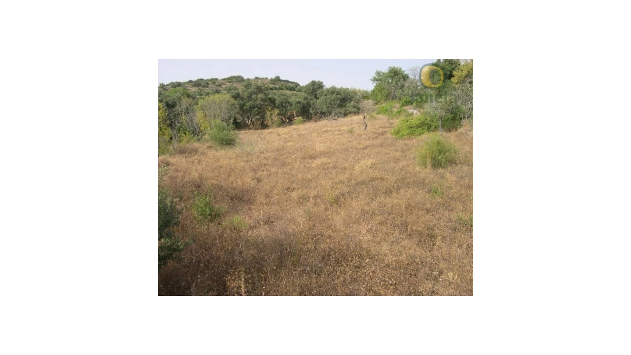 Terreno Agricola ou Rústico para Venda em Santa Barbara de Nexe Foto 3
