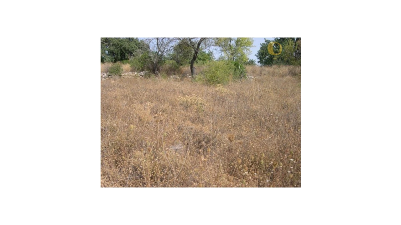Terreno Agricola ou Rústico para Venda em Santa Barbara de Nexe Foto 4