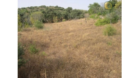 Terreno Agricola ou Rústico para Venda em Santa Barbara de Nexe