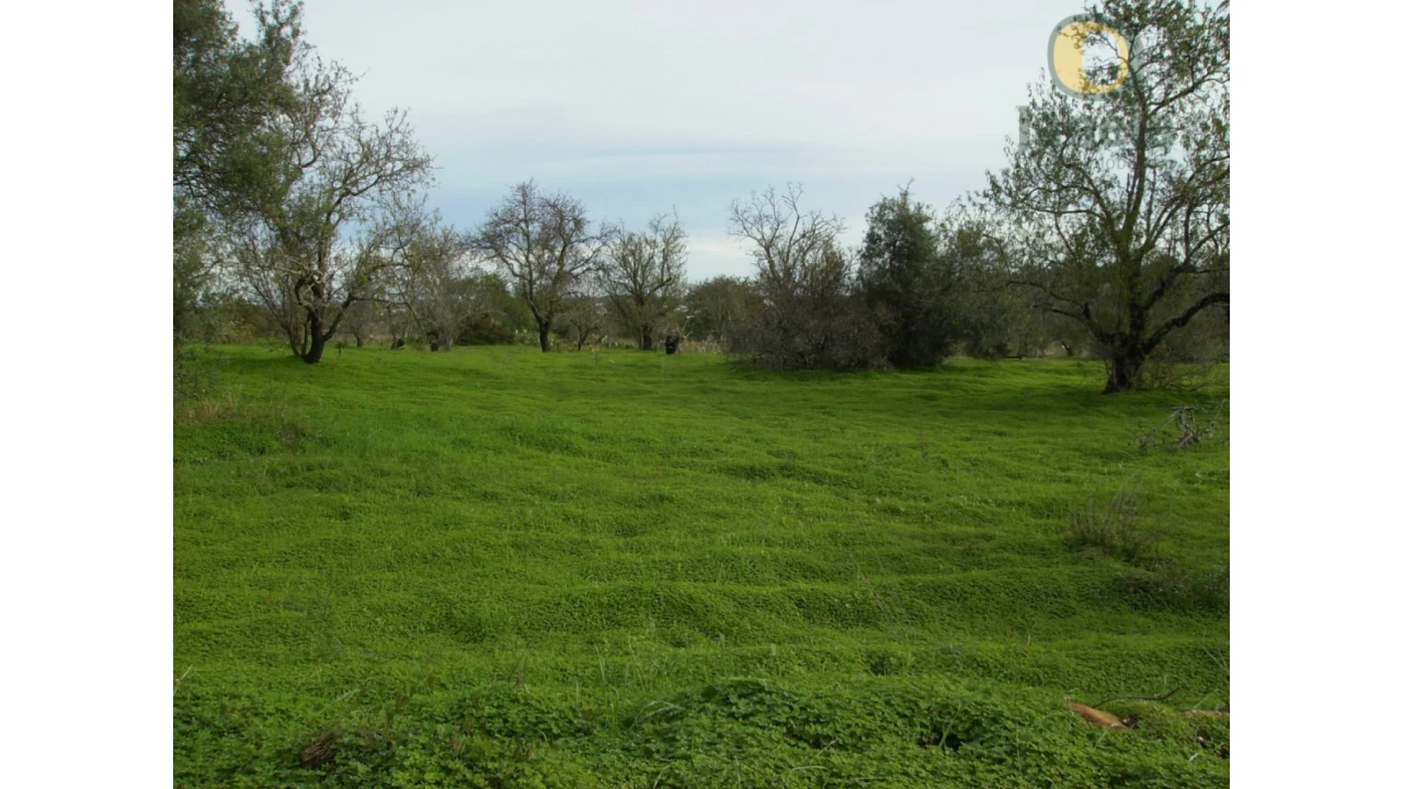 Terreno Agricola ou Rústico para Venda em Moncarapacho e Fuseta Foto 1