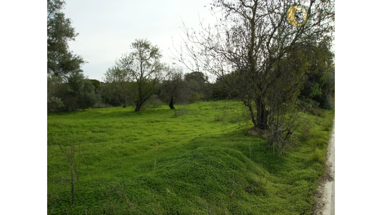 Terreno Agricola ou Rústico para Venda em Moncarapacho e Fuseta Foto 5