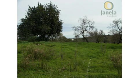 Terreno Agricola ou Rústico para Venda em Moncarapacho e Fuseta