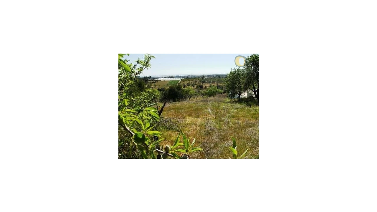 Terreno Agricola ou Rústico para Venda em Moncarapacho e Fuseta Foto 1