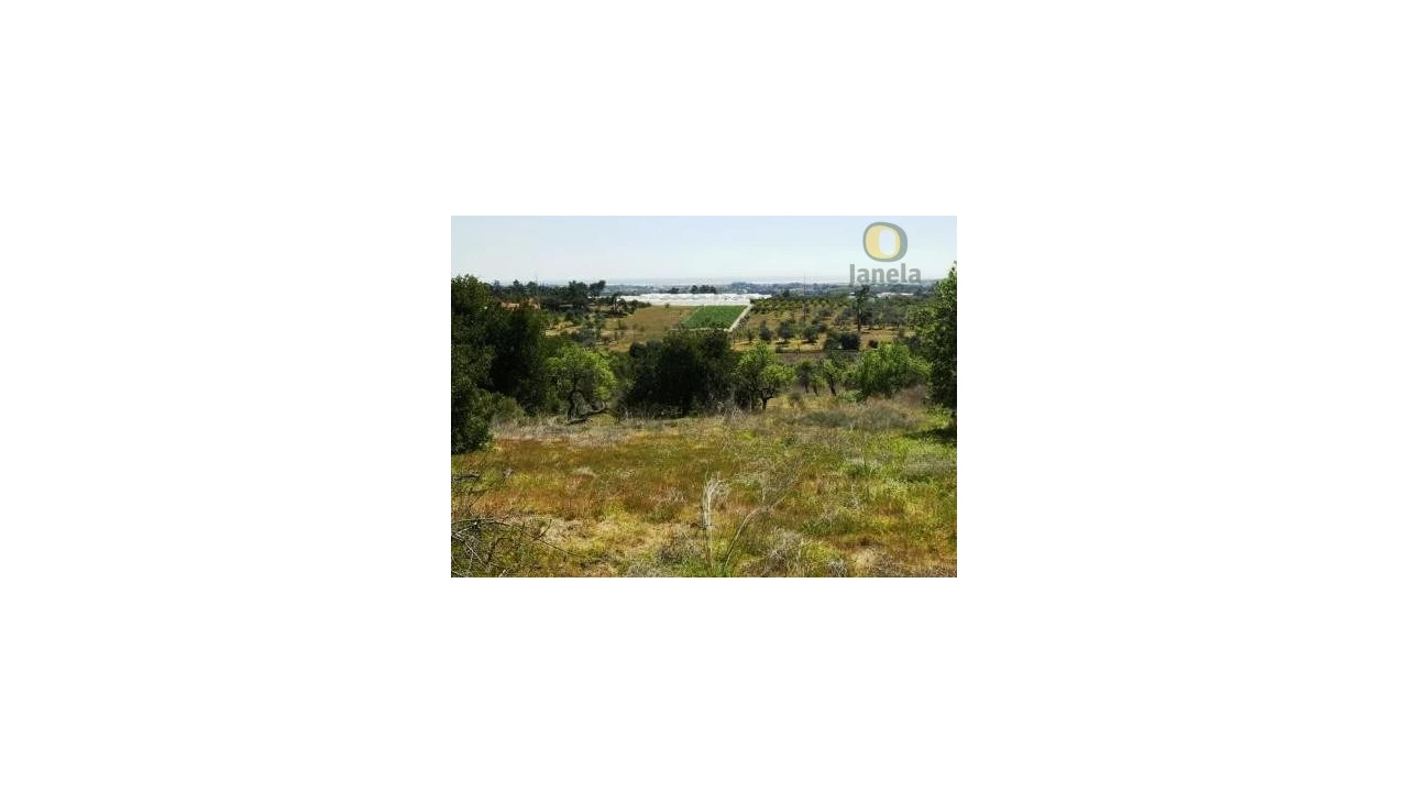 Terreno Agricola ou Rústico para Venda em Moncarapacho e Fuseta Foto 2