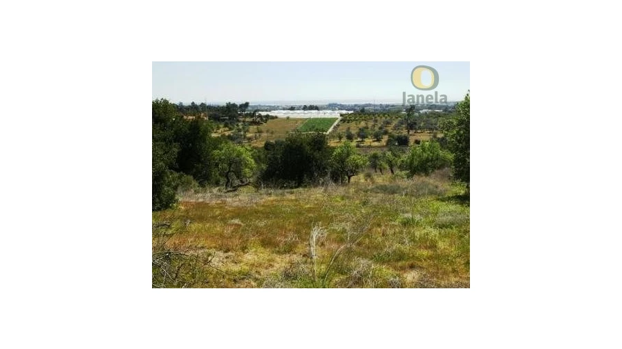 Terreno Agricola ou Rústico para Venda em Moncarapacho e Fuseta Foto 2