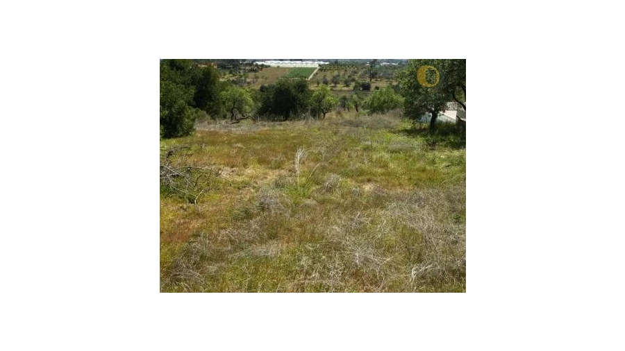 Terreno Agricola ou Rústico para Venda em Moncarapacho e Fuseta Foto 3