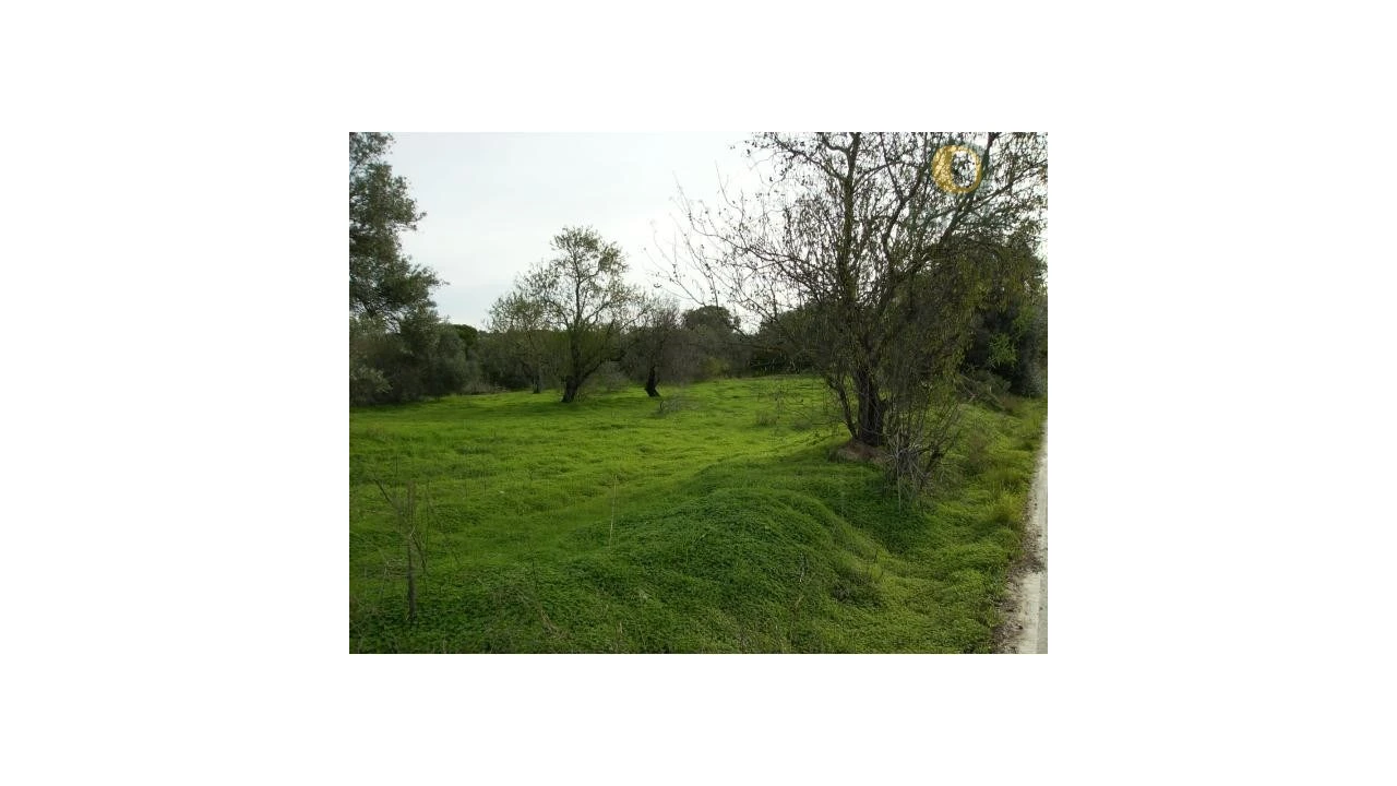 Terreno Agricola ou Rústico para Venda em Moncarapacho e Fuseta Foto 3