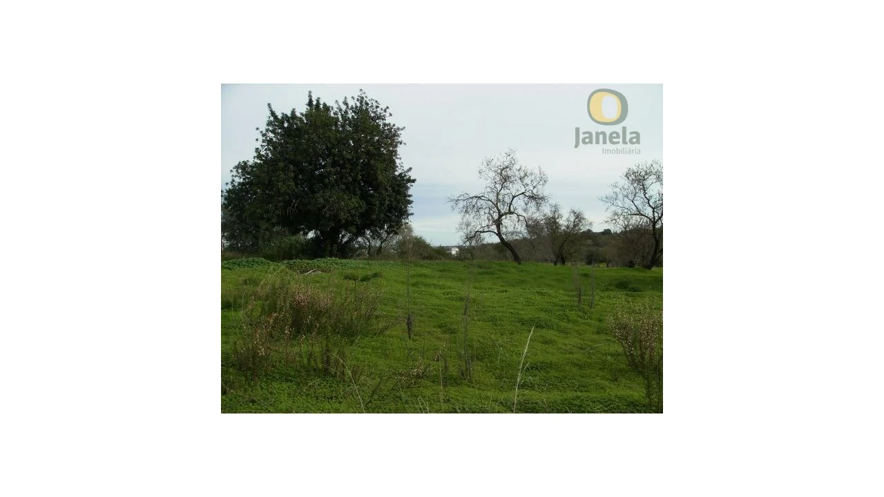Terreno Agricola ou Rústico para Venda em Moncarapacho e Fuseta Foto 4