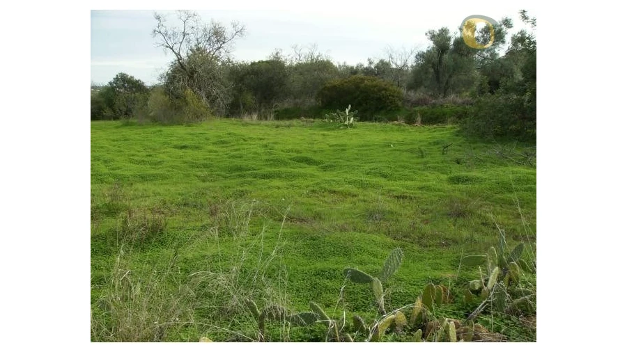 Terreno Agricola ou Rústico para Venda em Moncarapacho e Fuseta