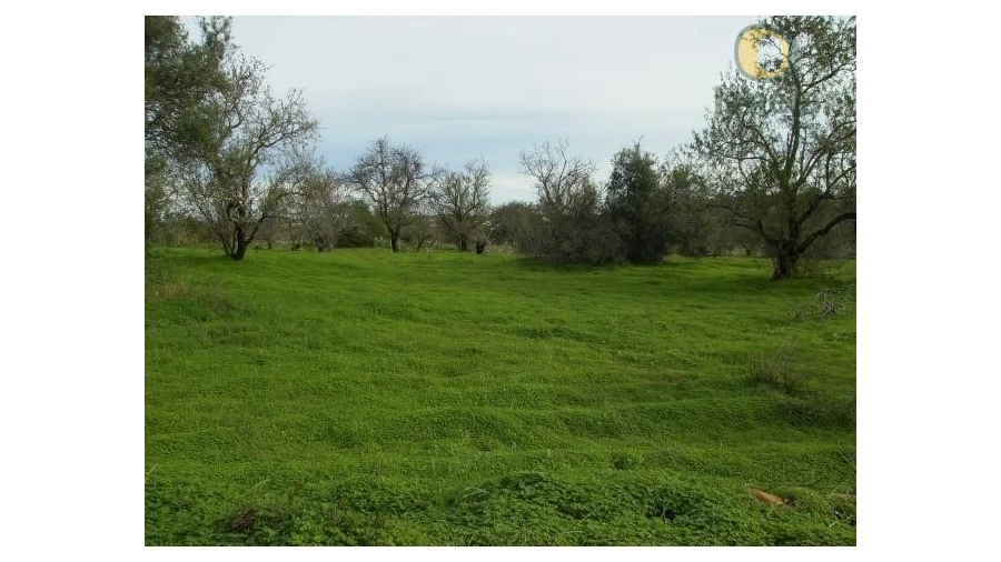 Terreno Agricola ou Rústico para Venda em Moncarapacho e Fuseta Foto 2