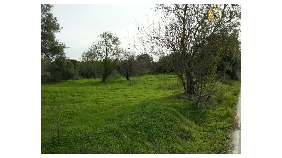 Terreno Agricola ou Rústico para Venda em Moncarapacho e Fuseta Foto 3