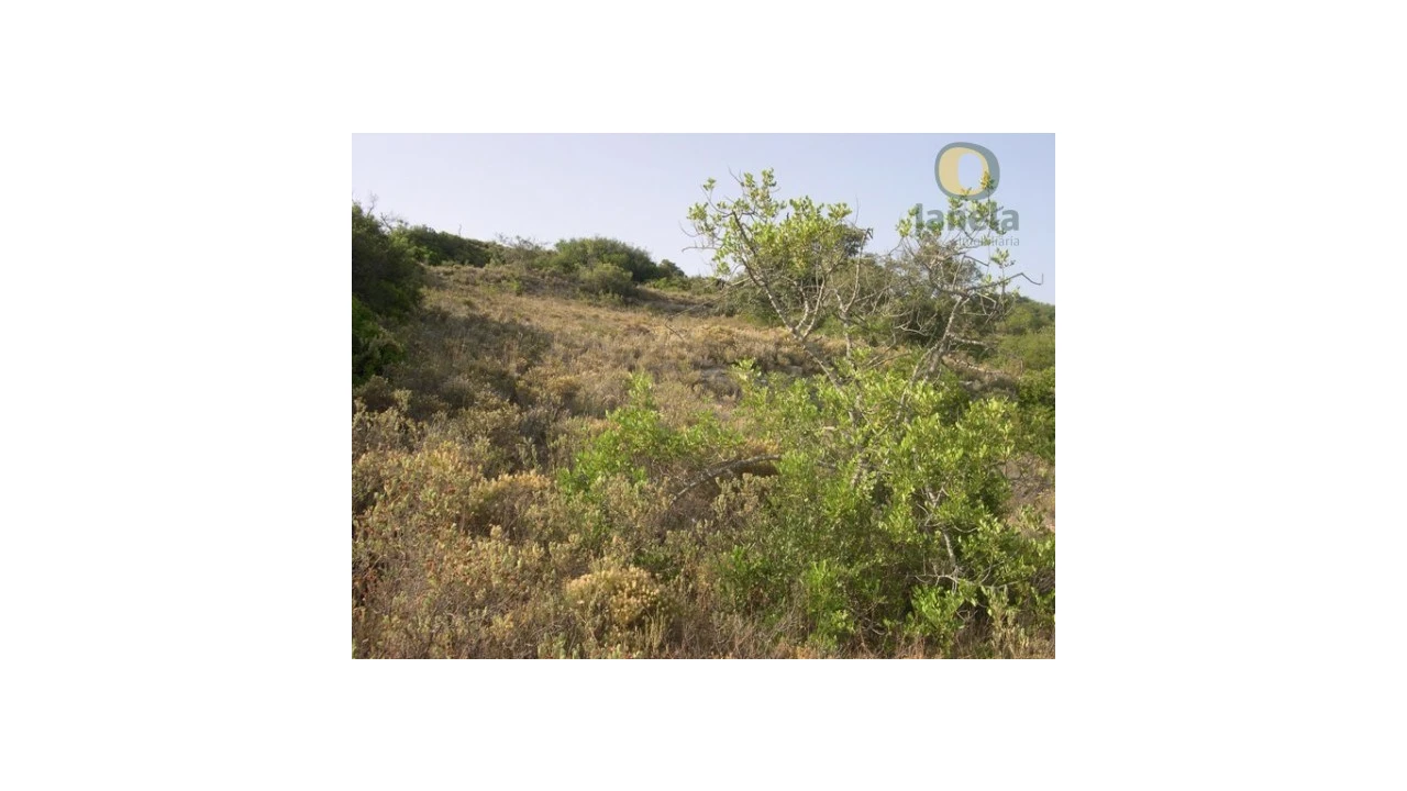 Terreno Agricola ou Rústico para Venda em Santa Barbara de Nexe Foto 5