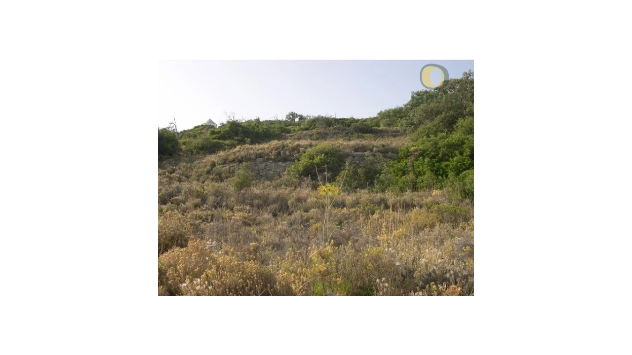 Terreno Agricola ou Rústico para Venda em Santa Barbara de Nexe Foto 7