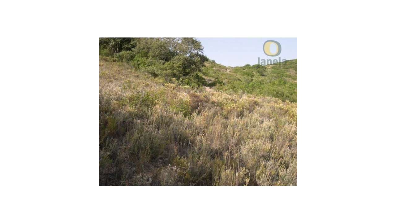Terreno Agricola ou Rústico para Venda em Santa Barbara de Nexe Foto 8