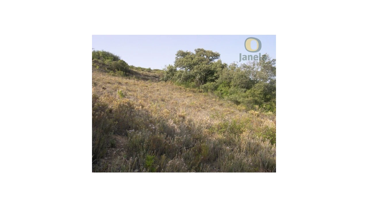 Terreno Agricola ou Rústico para Venda em Santa Barbara de Nexe Foto 9