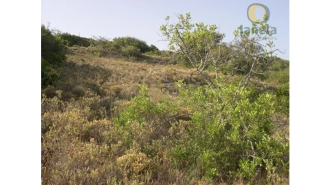 Terreno Agricola ou Rústico para Venda em Santa Barbara de Nexe