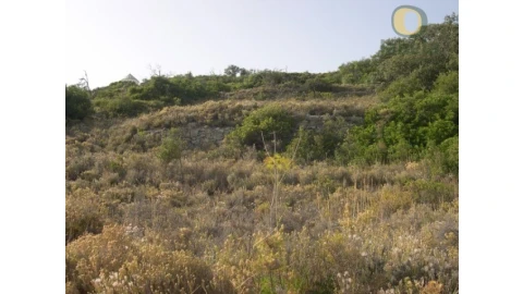 Terreno Agricola ou Rústico para Venda em Santa Barbara de Nexe