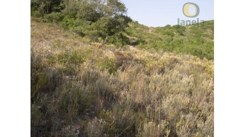 Terreno Agricola ou Rústico para Venda em Santa Barbara de Nexe