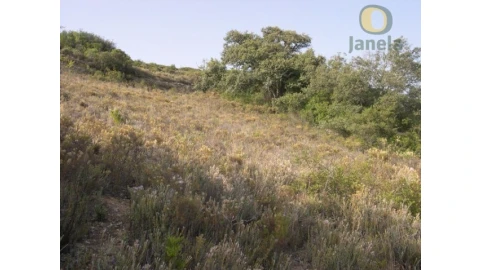 Terreno Agricola ou Rústico para Venda em Santa Barbara de Nexe