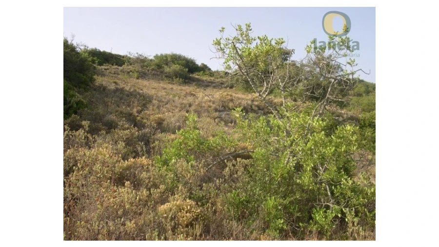 Terreno Agricola ou Rústico para Venda em Santa Barbara de Nexe Foto 5