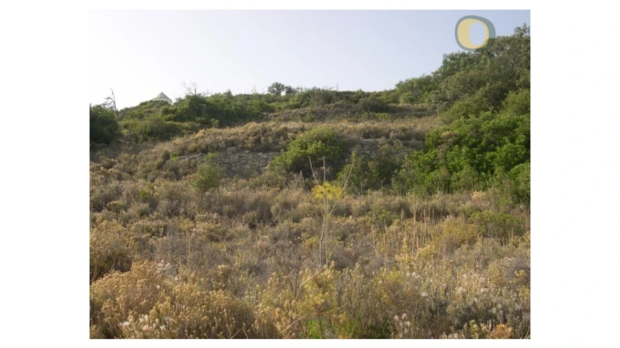 Terreno Agricola ou Rústico para Venda em Santa Barbara de Nexe Foto 7