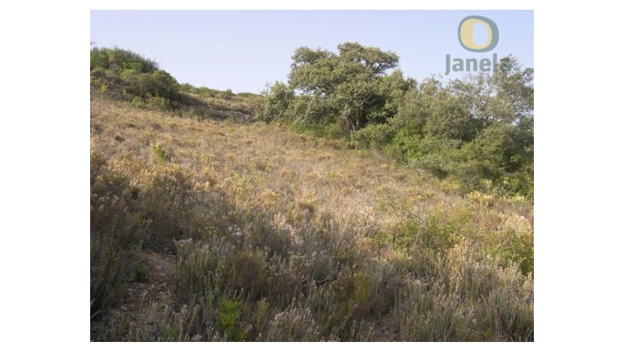 Terreno Agricola ou Rústico para Venda em Santa Barbara de Nexe Foto 9