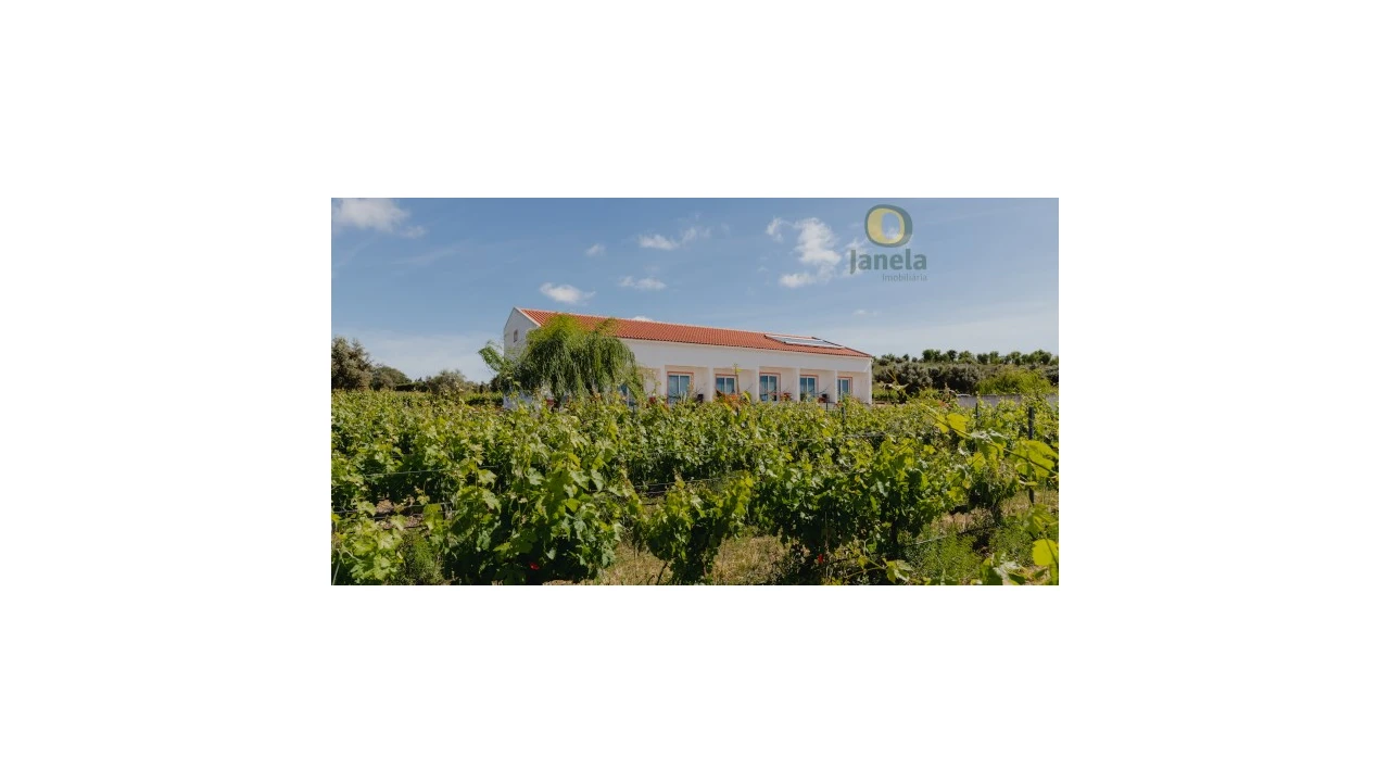 Quinta T10 para Venda em Vidigueira Foto 3