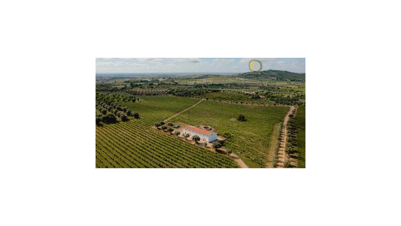 Quinta T10 para Venda em Vidigueira Foto 1