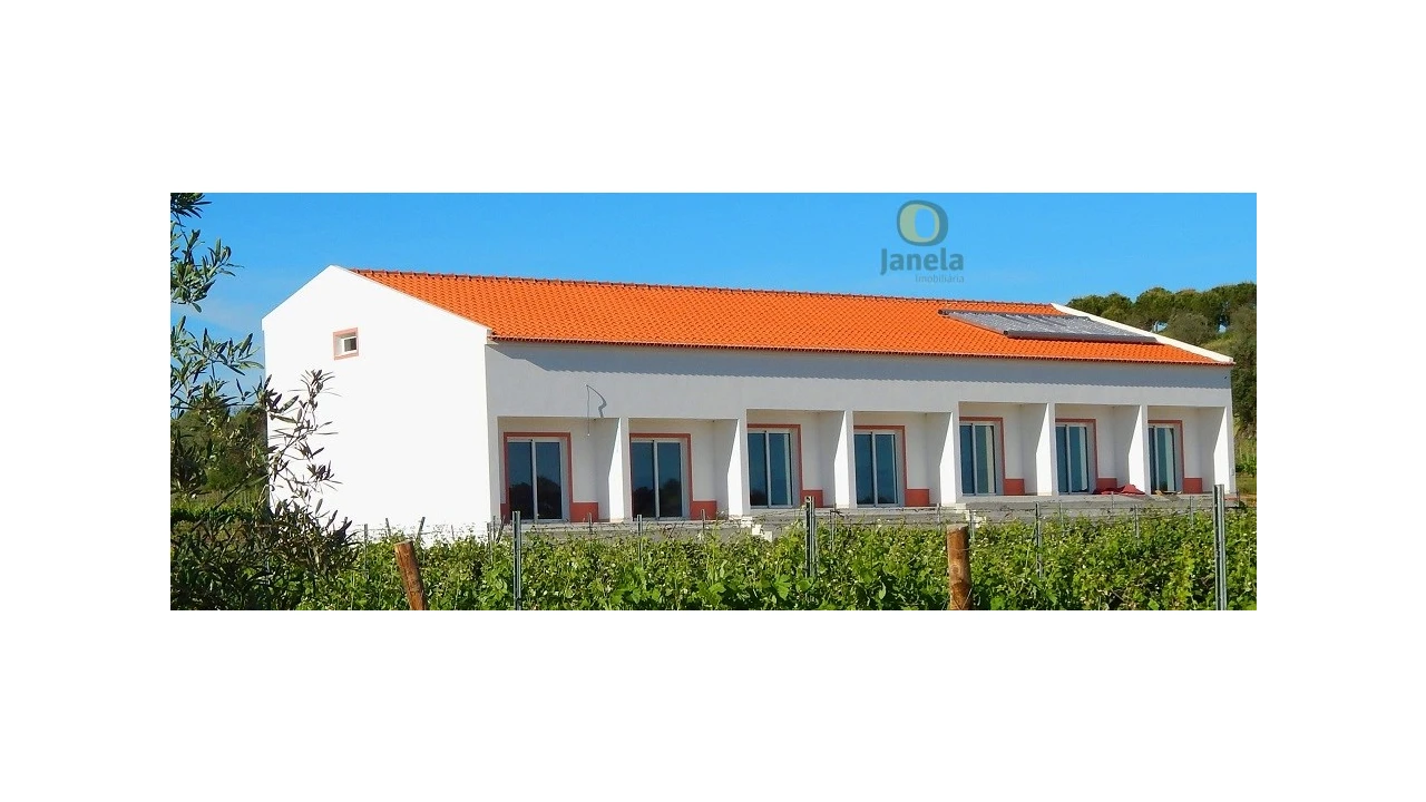 Quinta T10 para Venda em Vidigueira Foto 4