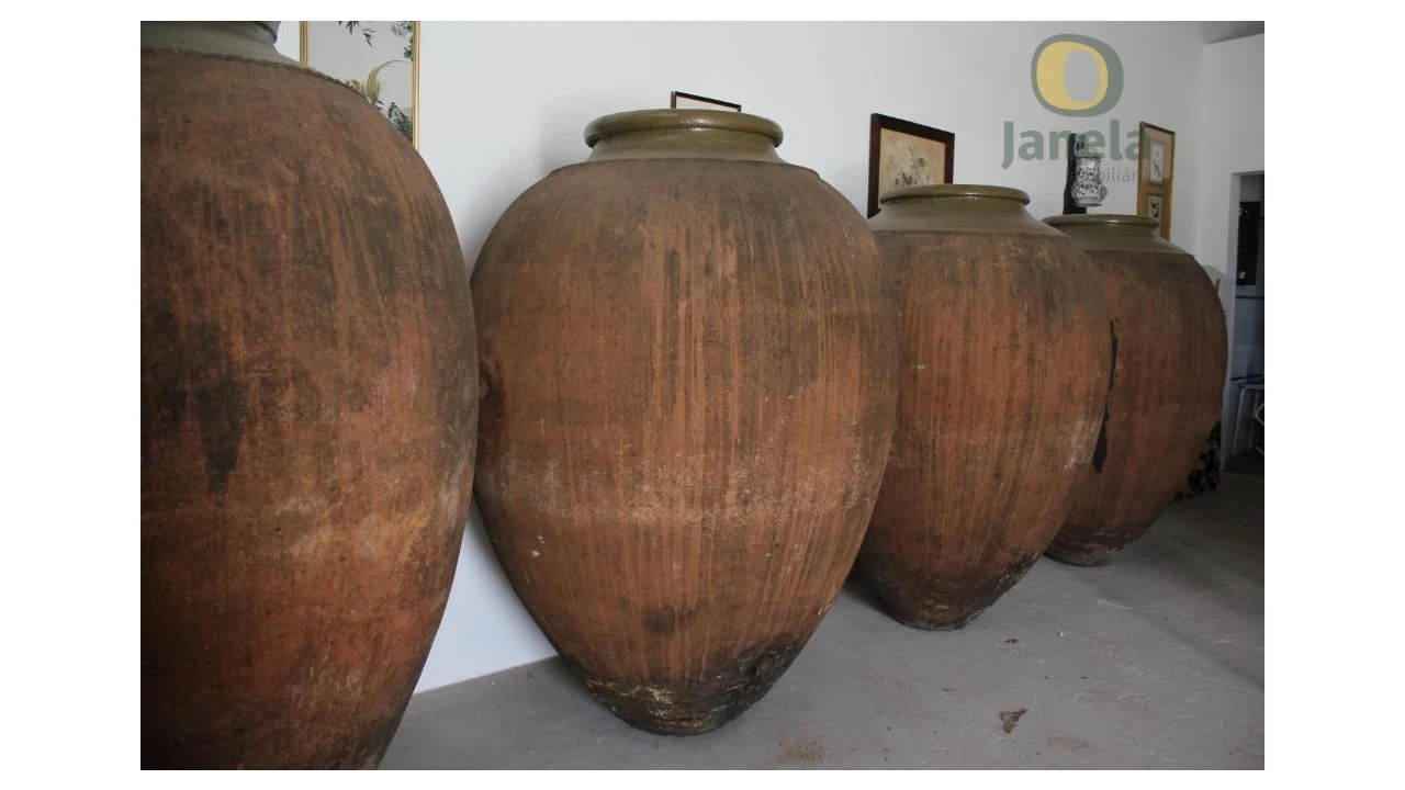 Quinta T10 para Venda em Vidigueira Foto 6