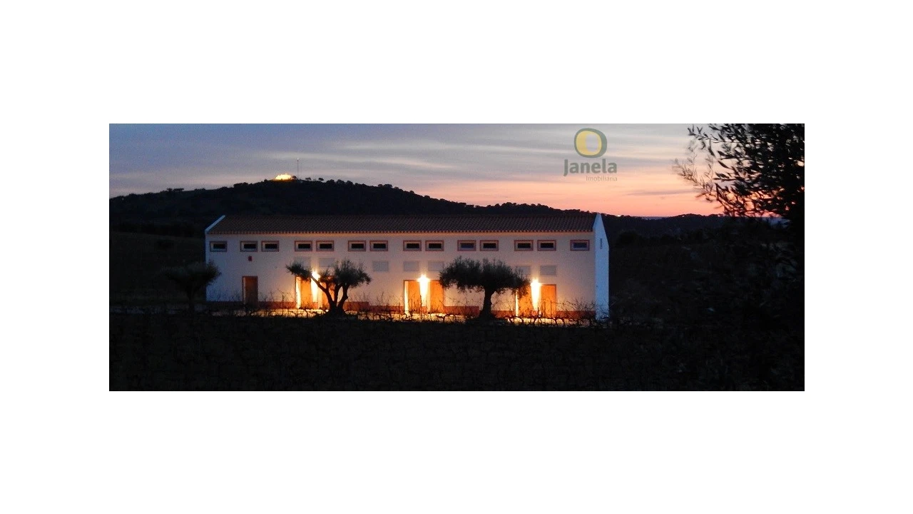 Quinta T10 para Venda em Vidigueira Foto 8