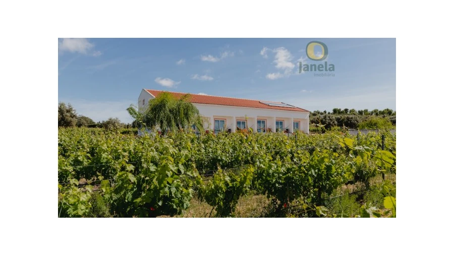 Quinta T10 para Venda em Vidigueira Foto 3