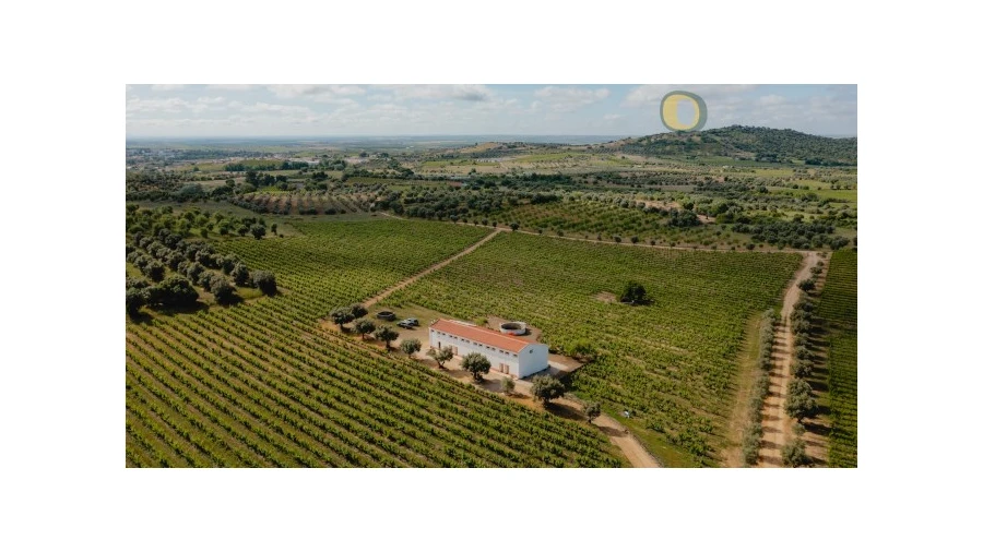 Quinta T10 para Venda em Vidigueira Foto 1